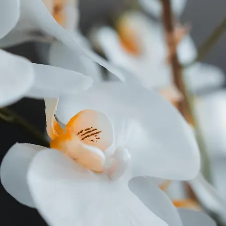 Urban By Balladins 3* Perpignan