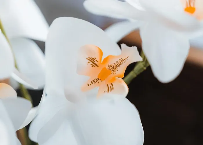 فندق Urban By Balladins 3*